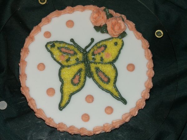 Butterfly Cake